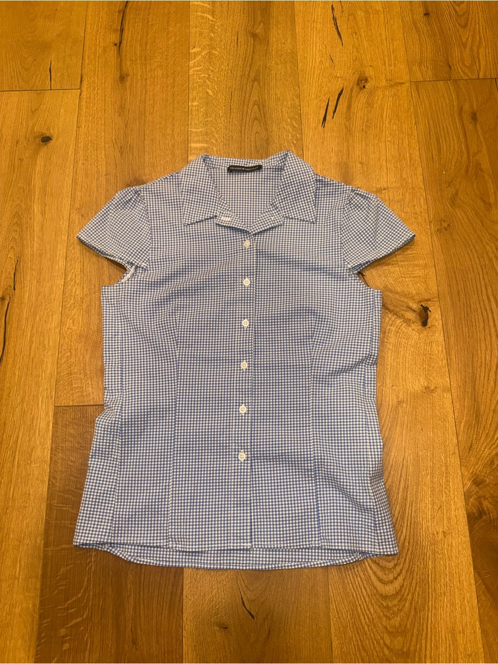 Brandy Melville Blue Gingham Button-Up Shirt